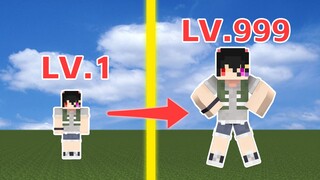 Minecraft, but "the higher the level, the bigger the size"!