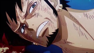 “ 心脏海贼团 罗 败！ ”