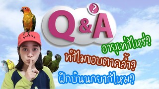 Double2 : Q&A ถามทูตอบทรู(TWO TRUE TRUE )  EP.114