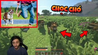 Chơi Ngu Chọc Chó Việt Nam Và Cái Kết ! - Top 5 Những Pha Xử Lý 10IQ Của Các Youtuber Minecraft !!!