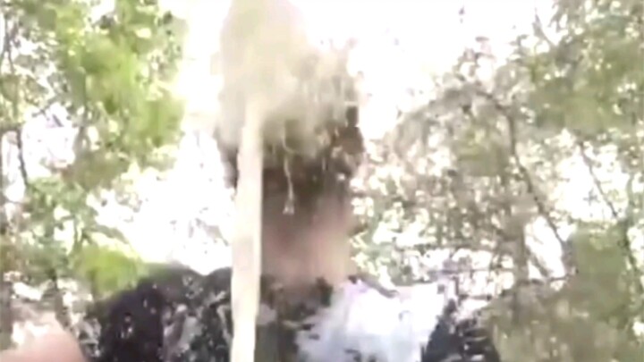 Heavenly Country Drenching Paste