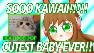 Reaction Bayi-bayi Hewan by Amaya Uyim