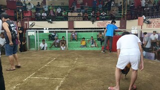 win po at SQCA