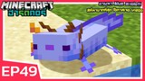 ตามหา Axolotl สีที่หายากที่สุด | Minecraft ฮาร์ดคอร์  1.19 (EP49)