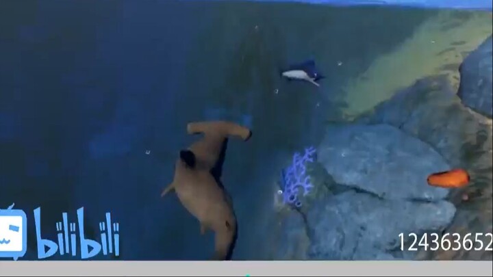 Cắn tay đôi với con cá mập kiếm #game