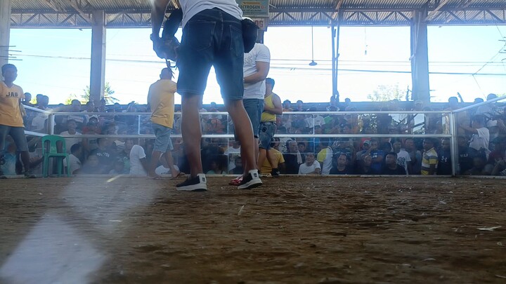 kampo ni Nardo 2 hits (win 1st fight)