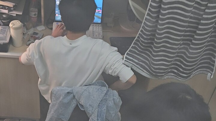 เพื่อนถามฉันว่าทำไมตอนกลางคืนถึงไม่นอน