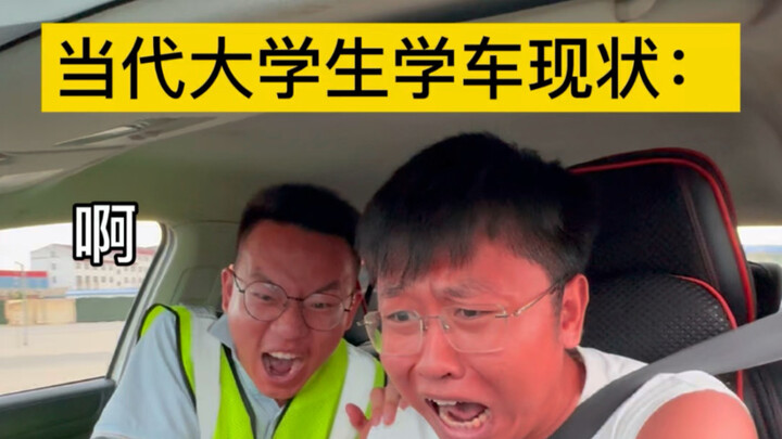 Hiện trạng học lái xe của sinh viên ngày nay, có phải sinh viên nào cũng như vậy khi học lái xe khôn