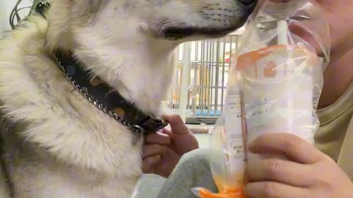 I’m Not Afraid of My Wife (Complete Version)