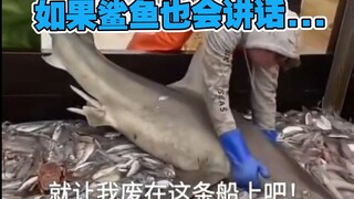 天堂啊！😭