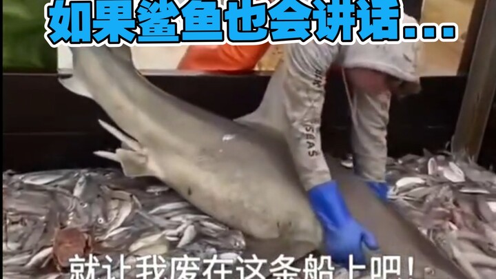 天堂啊！😭
