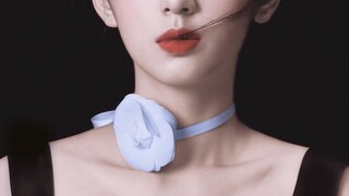 "Chú hươu nhỏ lạc trong rừng"