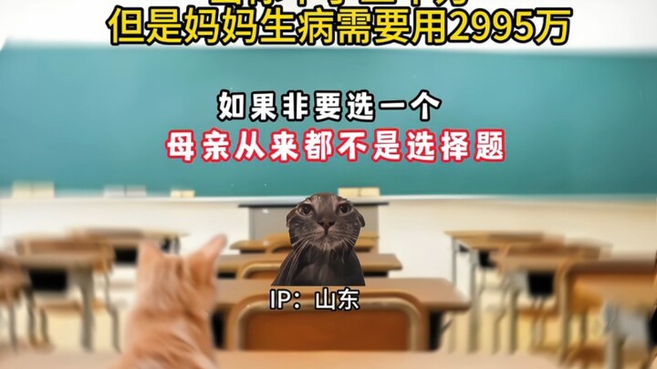 Mother is never a multiple-choice question!