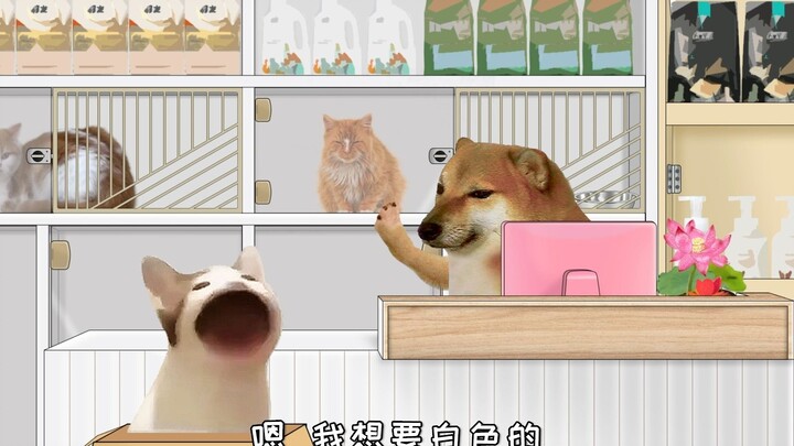 你是喜欢，但是没有一样符合你的要求