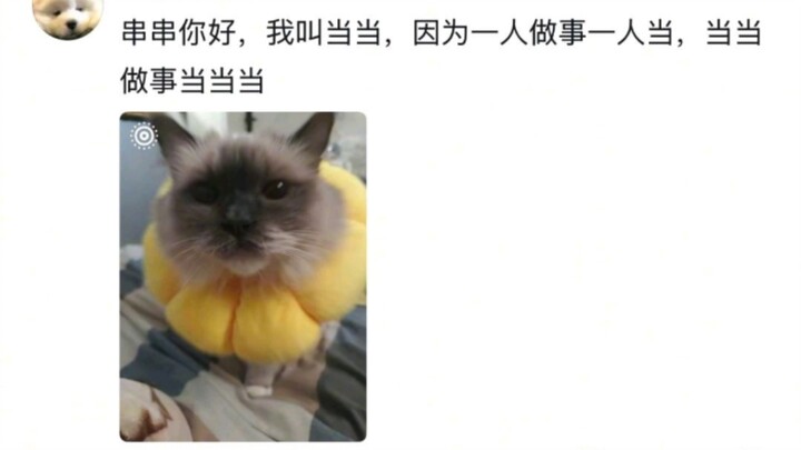 ความหมายเบื้องหลังชื่อสัตว์เลี้ยงจะน่ารักได้ขนาดไหน