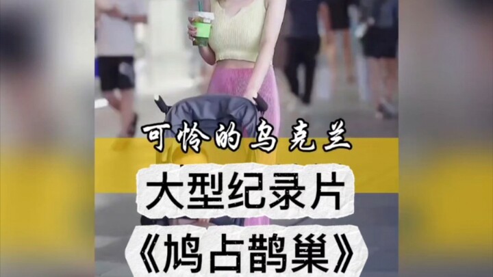 Bộ phim tài liệu quy mô lớn “Chim gõ kiến chiếm tổ chim sáo”