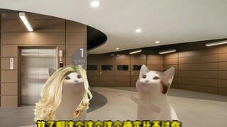 cheems Who is the pervert?