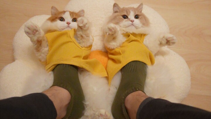 Introducing to our Northern friends the must-have winter essentials for Southerners!