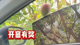 Awalnya kubilang dia pemula, siapa sangka dia pelaku lama