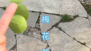 遇事不决，可问春风