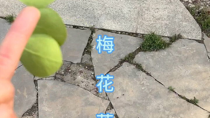 遇事不决，可问春风