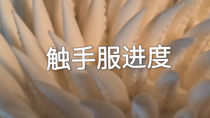 祝大家六一儿童节快乐！（包含触手服进程）