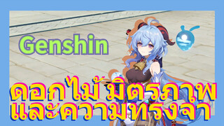 ดอกไม้ มิตรภาพ และความทรงจำ