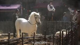 If a unicorn exist will it come after you?