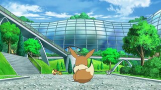 Pokémon Ep. 49