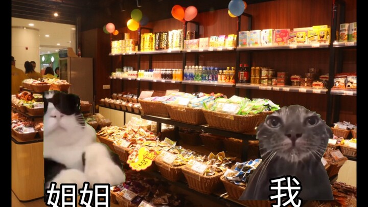 【猫猫meme】小学毕业时姐姐带我去了零食店