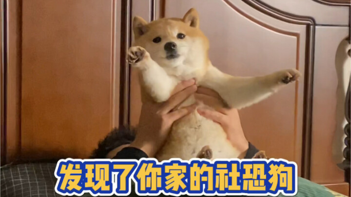 รีบมาช่วยฉันดูหน่อยสิ ว่าหมาที่บ้านฉันไม่สะอาดแล้วรึเปล่า?