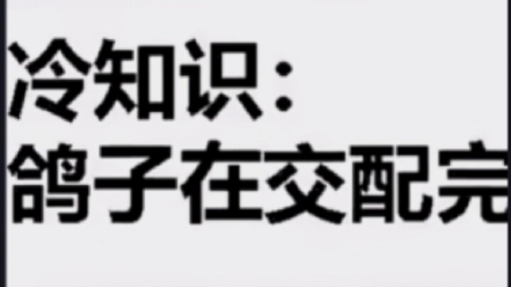 Ai cũng có tuyệt kỹ trong tay