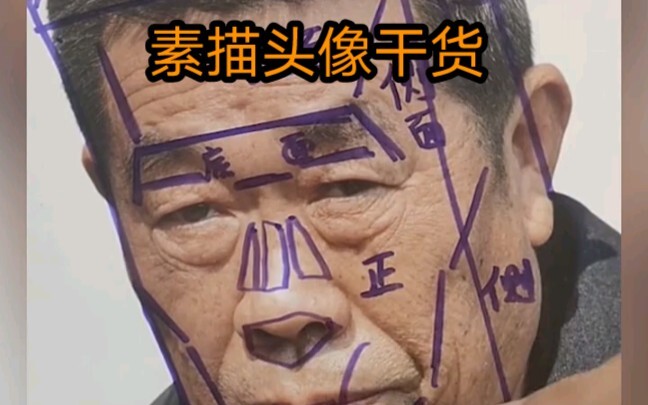 Analysis of the Structural Understanding of Sketch Portrait Heads