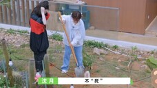 【沈月】月月好棒,帮璇姐分担房费,说话也好温柔。
