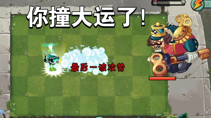 Những loại cây nào trồng chồng 50 cây là có thể tiêu diệt được gã khổng lồ Hạt Dẻ có 200.000 máu?