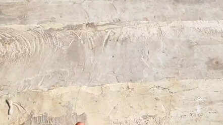 Khoảnh khắc giải tỏa áp lực khi lăn chai trên cầu thang