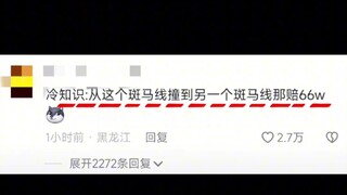 #Crosswalk #FunFacts #Unexpected #Absurd Everyone, please use the crosswalk!