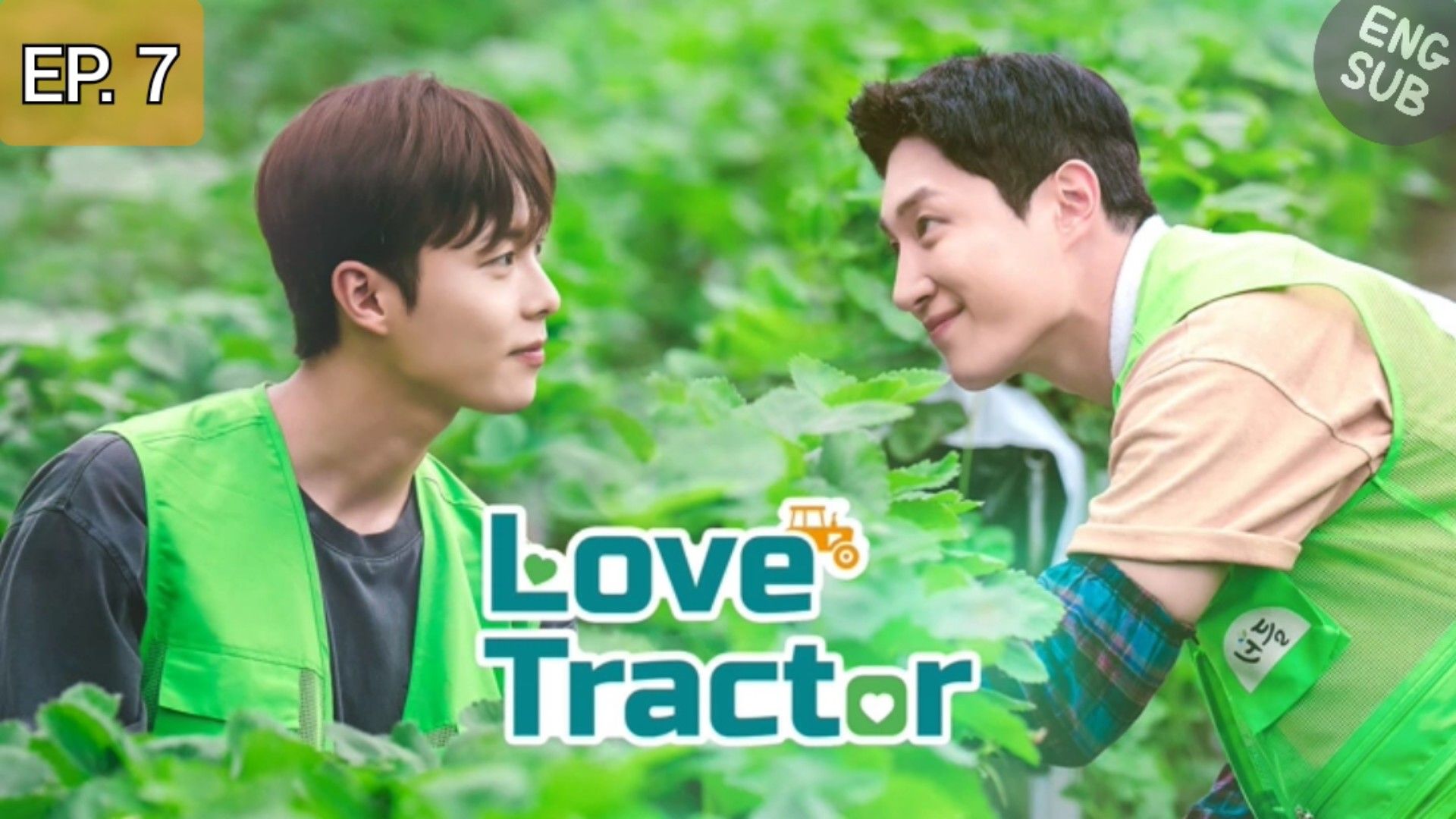 Love tractor episode 7