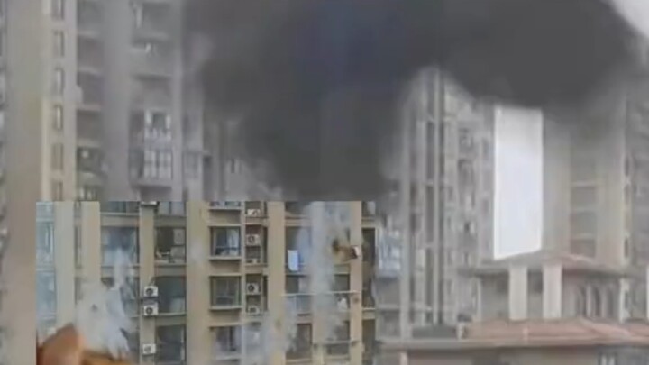 Chủ nhân thắc mắc sao trên cửa kính lúc nào cũng có phân chim, hôm nay cuối cùng đã quay được bằng c