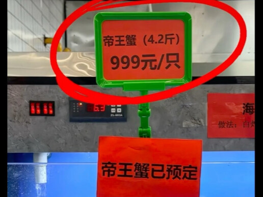Bạn không cần phán xét tôi, tôi sẽ mãi mãi không bao giờ trở thành ngôi trường cũ của bạn.