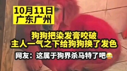 Đây là cô nàng đỏ rực nào vậy?