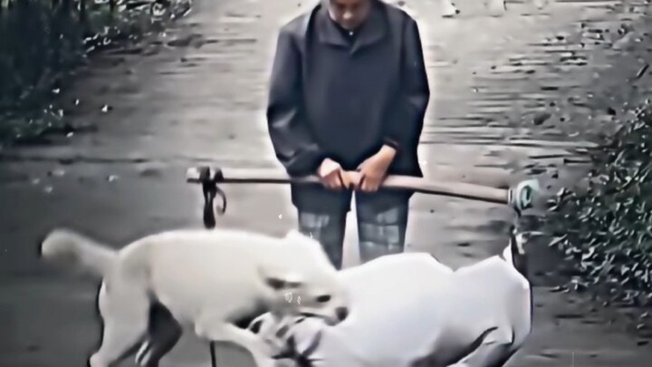 Giỏi lắm, Bruce!