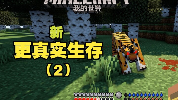 Minecraft: New, More Realistic Survival – Episode 2