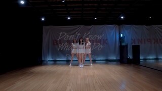 BLACKPINK - "Dont Know What To Do" Dance Practice