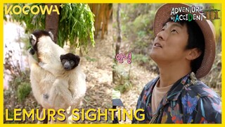 Kian84 & Pani Bottle Visit A Park To See Lemurs | Adventure By Accident 3 EP9 | KOCOWA+
