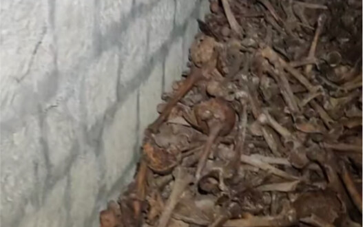 俄罗斯古墓里堆满了人骨