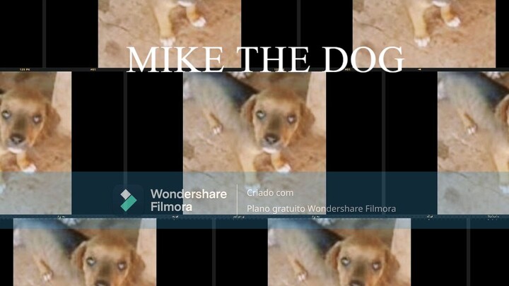 Mike o cachorro s63 ep 22 a festa dos idiotas parte 2