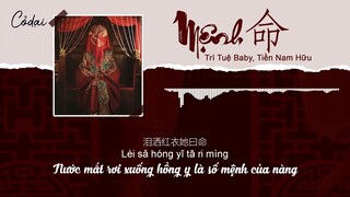 [Vietsub + Pinyin] Mệnh (命) - Trí Tuệ Baby,Tiền Nam Hữu / 命 - 智慧 Baby, 前男友