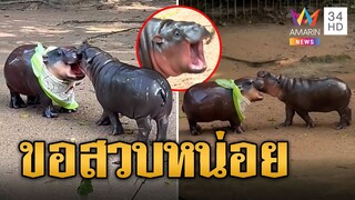 "หมูเด้ง" ไม่เคยเหงา เจอเพื่อนโมเดลเลยขอสวบหน่อย | ข่าวอรุณอมรินทร์ | 18/10/67