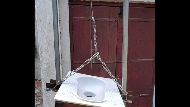 هل سبق لك أن رأيت أحدًا يقضي حاجته بهذه الطريقة؟